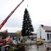 Die Adventszeit steht bevor. Am Mittwoch wurde auf dem Rathausplatz in Gersthofen der Weihnachtsbaum aufgestellt. 