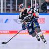 Schlussspurt: In der Hauptrunde der Deutschen Eishockey-Liga sind für den ERC Ingolstadt noch acht Spiele zu absolvieren. Am Donnerstag empfängt Jan Nijenhuis mit den Panthern die Düsseldorfer EG. Foto: Johannes Traub 