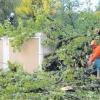An vielen Orten im Landkreis Günzburg mussten entwurzelte Bäume und abgerissene Äste beseitigt werden, die durch das Unwetter auf Straßen und Gebäude gestürzt waren.  