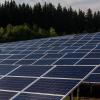 Einen Solarpark möchte ein örtlicher Investor nahe Rögling auf einer Fläche von knapp 2,2 Hektar errichten.