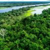 Der Amazonas-Regenwald gilt als CO2-Speicher und hat eine wichtige Funktion im internationalen Kampf gegen den Klimawandel.