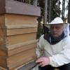 Der Winter war nicht außergewöhnlich. Doch der Imker Rainer Holzapfel sorgt sich um seine Bienenvölker. 
