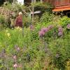 Eigentlich wollte Hildegard Gollmitzer gar nicht mit Foto in die Zeitung – zu diesem Bild inmitten ihres blühenden Blumenbeets voller Bienen und Schmetterlinge ließ sie sich dann doch überreden. 