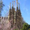 Die Sagrada Família gehört in Barcelona zu den Top-Sehenswürdigkeiten.