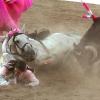 Kuscheln im Sand? Wohl eher nicht beim spanischen Stierkampf in Vitigudino. Foto: Carlos Garcia, dpa