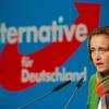 Nach Ansicht von Beatrix von Storch ist der politische Islam heute «die größte Bedrohung für Demokratie und Freiheit».