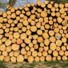 Die Corona-Krise führt zu Holzbergen in den Wäldern, da der Absatz von Industrieholz ins Stocken geraten ist. 	