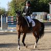 Im Reitpark Mergenthau fand das Finale des schwäbischen Dressurpokals statt. Höhepunkt war die Dressurprüfung der Klasse M** (hier Beatrice Schmidt-Diedrichs vom Ulrichshof Königsbrunn).  	