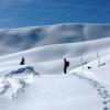 Hier im Bild: Schneedünenlandschaften am Riedberger Horn.