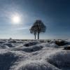 Am Wochenende gibt es Schneeschauer - aber auch ein wenig Sonne.