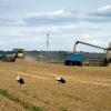 Russland hat das Abkommen zur Verschiffung von ukrainischem Getreide über das Schwarze Meer gestoppt.