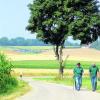 Diese Wanderer sind auf der 20-Kilometer-Strecke unterwegs. Der geringere Teil führt durch offene Landschaft. Hier geht der Blick hinauf zum Veranstaltungszentrum, dem Sportgelände des TSV Mühlhausen. Foto: Martin Golling