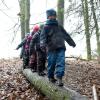 Einen Waldkindergarten will der Verein eigenaktiv in Dinkelscherben eröffnen.