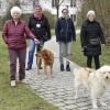 Petra (von links) lebt in der Wohngruppe St. Barbara in Holzhausen. Sie freut sich darüber, dass sie Maren Agricolas Hund Luz ausführen darf. Agricola ist ebenso Mitglied im neuen Verein „Besuch mit Hund“ wie Sabine Mörz. Mit deren Labrador Sammy geht Flavia spazieren.