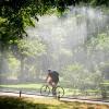 Ein Mann fährt auf dem Fahrrad im Berliner Tiergarten bei Hitze und Sonnenschein durch den Regen einer Bewässerungsanlage.