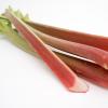 Saure Stangen: Rhabarber lässt sich leicht zum Kompott verarbeiten. Die roten Sorten schmecken etwas milder als die grünen.