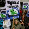 Glyphosat ist äußerst umstritten. Die Gegner des Pflanzenschutzmittels haben schon oft dagegen demonstriert.