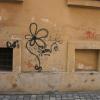 Die Stadt will das als „Augsburgblume“ berühmt gewordene Graffiti nun doch nicht für das Marketing nutzen.