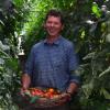 Gärtner Reinhard Schlegel hat die Vielfalt der Tomaten für sich entdeckt und bietet sie seinen Kundinnen und Kunden an.