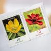 Wer noch 70-Cent-Briefmarken hat, muss sie ab dem 1. Juli für einen mit der Deutschen Post versendeten Brief mit einer 10-Cent-Marke ergänzen.