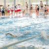 Kraulen, eine andere Person im Wasser abschleppen, nach Ringen tauchen: Rund 160 Kinder und Jugendliche waren gestern beim Schwimmwettbewerb der Wasserwacht in Lauingen dabei. 