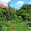 Virtueller Rundgang durch den Garten von Familie Hänel in Rott: Fotograf Christian Lorenz, Monika Sedlmaier, Christian Hanglberger (Vorsitzender Kreisverband für Gartenbau und Landespflege) und Susann Huttenloher. 	