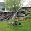 Nicht direkt am 1. Mai, sondern knapp zwei Wochen später wurde an der Schondorfer Realschule ein Maibaum aufgestellt.