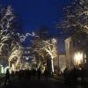Der Titel „Pfaffenhausen leuchtet“ ist Programm: Die Hauptstraße erstrahlte im Lichterglanz und stimmte die zahlreichen Besucher auf die Weihnachtszeit ein. 