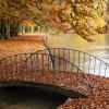 Auch der Herbst kann sehr schön sein am Stempflesee. Dieses Foto hat unser Leser Tobias Ilgoffstein aufgenommen.