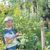 Carola Spicker aus Pfaffenhausen ist eine große Kennerin der Pflanzen- und Kräuterwelt und zudem eine glühende Bewunderin und Bewahrerin der Schöpfung. Ihr Garten ist eine „Apotheke Gottes“ und bietet eine Ansammlung von unzähligen Kräutern und Blumen. Hier ist Carola Spicker umgeben vom gelben Alant, den weißen Blüten des Eibisch und von reifenden Äpfeln.  