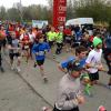 Lionslauf 2014 von Eichstätt nach Neuburg