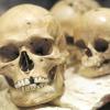 Gruseliger Fund aus dem Hohlenstein-Stadel: Diese drei Schädel – von einem Mann, einer Frau und einem Kind – aus dem siebten Jahrtausend vor Christus wurden getrennt von den Körpern bestattet. Die Erwachsenen wurden wahrscheinlich erschlagen. 	