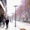Das Coronavirus breitet sich aus: Die Straßen der 14-Millionen-Einwohner-Metropole Chengdu sind leergefegt. Nur ganz wenige sind unterwegs - stets mit Maske und Desinfektionsmittel.