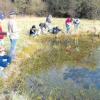 Der Nachwuchs vom Bund Naturschutz in Welden schafft zusammen mit der Gemeinde Lebensraum für Amphibien. 