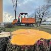 Wegen des geplanten Neubaus in Offenhausen wurden in den vergangenen Tagen mehrere Bäume gefällt. 