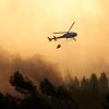 In der Nähe von Lissabon wüteten bereits Ende Juli 2023 Waldbrände. Aktuell gibt es in vielen Regionen Portugals Feuer. 