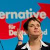 Innerparteilich nicht unumstritten: AfD-Chefin Frauke Petry.