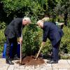 Bundespräsident Frank-Walter Steinmeier und Reuven Rivlin, Staatspräsident von Israel, pflanzen gemeinsam einen Baum im Garten des Amtssitzes des Präsidenten. 