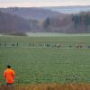 Bunte Tupfer in der herbstlichen Landschaft: der Tross der Läufer in der Umgebung von Mönchsdeggingen.  	