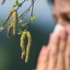 Die Nase läuft, die Augen tränen: So leiden Allergiker, wenn die Pollen fliegen.