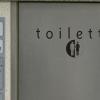 Sollte eine öffentliche Toilette – dieses Exemplar steht in Leipheim – auf dem Marktplatz stehen? 