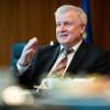 Horst Seehofer ist als Bundesinnenminister in Deutschland für den Sport zuständig.