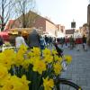 Beim Judikamarkt am 3. April soll Friedberg aufblühen.