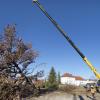 Mit schwerem Gerät waren Baumpfleger an der Bahnhofstraße in Kaufering im Einsatz. 