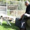 Archi lebt jetzt im Tierheim Neuburg. Das Team um Leiter Gerhard Schmidt kümmert sich dort um ihn.