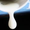 EU-Milchsektor soll neu aufgestellt werden