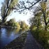 "Wie viele Bäume wird die Stadt noch am Herrenbach pflanzen?", war eine der Fragen im Stadtteilgespräch.