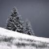 Ab Dienstagabend erwartet der Deutsche Wetterdienst Schnee in Bayern.
