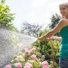 Wer mit dem Schlauch gießt, sollte am frühen Morgen für die Wasserversorgung sorgen. Außerdem rät eine Gartenbauingenieurin dazu, auf die Menge zu achten, damit wirklich die Wurzeln der Pflanzen Wasser bekommen. 