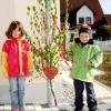 Der fünfjährige Marco Kapalla hat seiner Nachbarin und Freundin Annika Rotecker einen Maibaum gestellt.